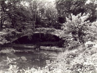 The old bridge, Wildwoods, Flash Lane
Keywords: bridges;trees