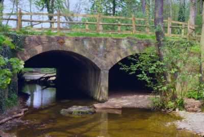 The flash
An aqueduct which carried the Whitewebbs loop of the New River over the Cuffley Brook.
Keywords: New River;bridges;streams;aqueducts