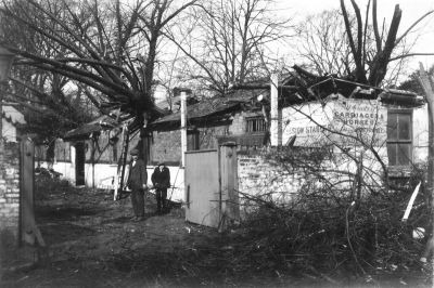 Stables damaged by fallen trees
Large trees have fallen through the roofs of these stables. There is a road sign above the window on the right, reading "SILVER ST". Wording on the stable walls reads "[COMM]ISSION STABLES. All kinds of carriages & horses ... on job, by day, month ... year".
Keywords: horse-drawn vehicles;horses;demolished buildings;stables;trees;road transport;road transport
