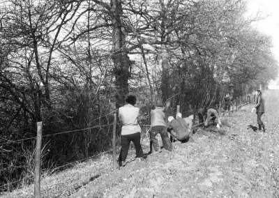 Jubilee Footpath - fencing work
EPS volunteers fix plain and barbed wire to complete the fence on a section of the footpath in 1978. More than five miles of wire, secured by 3,500 staples and nails, were used on the path, which runs from Hadley Road to the Ridgeway. - [i]Fighting for the future[/i], page 134.
Keywords: 1970s;LC4;footpaths;fencing