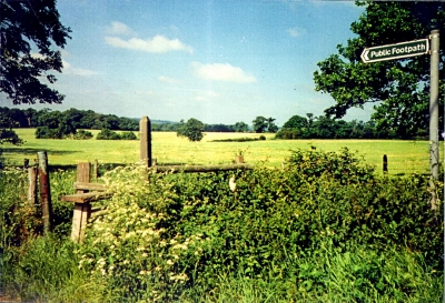 Overgrown stile on a public footpath
Keywords: footpaths;stiles;signs;LC4