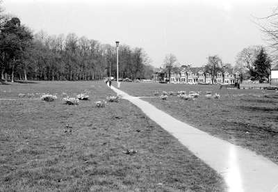 Chase Green, looking north
Showing clumps of daffodils beside the path
Keywords: greens;footpaths;flowers