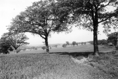 Enfield Chase
View from Cuckold's Hill on the Ridgeway, looking south-west across the valley of Salmon's Brook towards Hadley Road. -[i]Fighting for the future[/i] p.64.
Keywords: Enfield Chase;green belt;trees