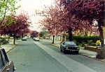 Filename=000824.jpg
Filesize=442KiB
Dimensions=801x559
Date added=%727 %05, %2018 000824.jpg