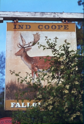 Fallow Buck pub sign
Keywords: pubs;signs
