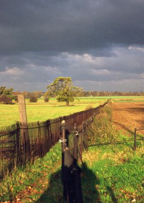 Footpath across Theobalds Park Farm
From the New River to the A10, before the development of the printing works on the east side of the A10.
Keywords: footpaths