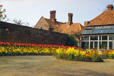 Forty Hall glasshouse
Now demolished
Keywords: flowers;gardens;glasshouses;demolished buildings