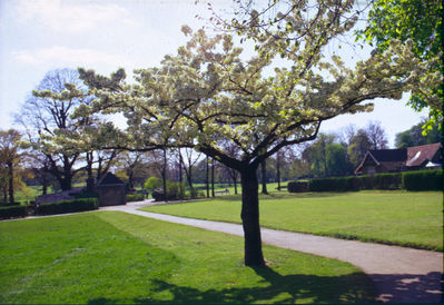 Town Park before the creation of the play area
Keywords: parks