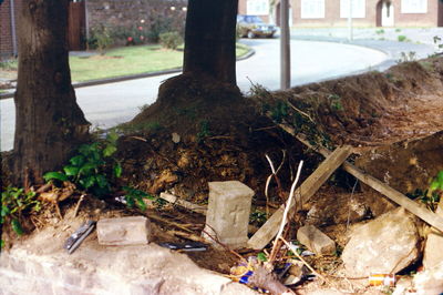 Copper beech, Fyfield Road
Excavation of the footpath around the roots of this tree. Does anyone know what the purpose is of the square pillar with a Christian cross on it?
Keywords: 1970s;memorials;tombs;trees;footpaths;roads and streets