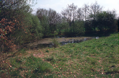 Tingeys Top pond, 1976 
Keywords: green belt;ponds