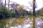 SC001005.jpg