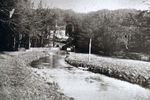 Filename=SC001046.jpg
Filesize=377KiB
Dimensions=800x534
Date added=%052 %24, %2011 SC001046.jpg