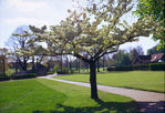 SC001063.jpg