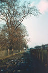 SC001248.jpg