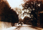 Filename=SC001250.jpg
Filesize=470KiB
Dimensions=800x566
Date added=%787 %28, %2012 SC001250.jpg