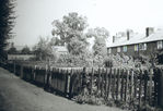 Filename=SC001278.jpg
Filesize=361KiB
Dimensions=800x547
Date added=%787 %28, %2012 SC001278.jpg