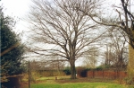 Filename=SC001396.jpg
Filesize=545KiB
Dimensions=800x527
Date added=%982 %06, %2014 SC001396.jpg