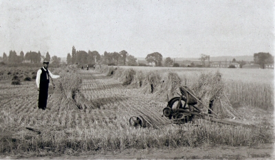 Plantation Farm, Enfield Lock
Also known as Welche's Farm. Picture shows Josiah Coxshall in harvest field.
Keywords: farms