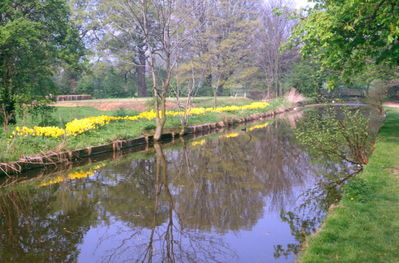 EPS sponsored flowerbeds, Town Park
Keywords: flowers;parks;New River Loop