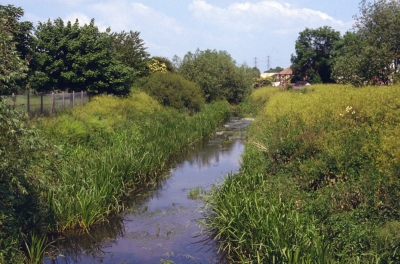 Small River Lea, June 1983
Near the proposed route of the "north-south road", now built as Mollison Avenue.
Keywords: 1980s;rivers and streams;open spaces