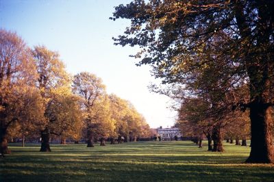 Broomfield Park, 1969
Keywords: parks;trees