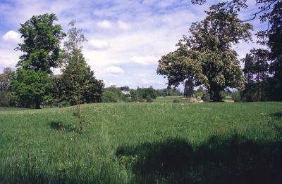 Whitewebbs House from Mile and a Quarter footpath, summer 1991
Keywords: historic buildings;footpaths