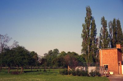Enfield Chase (now County) School: electricity substation
Keywords: schools;electricity substations;trees