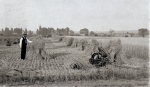 SC003025.jpg