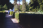 SC003034.jpg