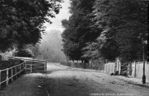 SC003054.jpg