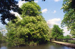 Filename=SC003055.jpg
Filesize=542KiB
Dimensions=800x525
Date added=%028 %29, %2011 SC003055.jpg