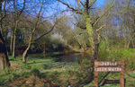 Filename=SC003059.jpg
Filesize=668KiB
Dimensions=800x519
Date added=%028 %29, %2011 SC003059.jpg