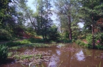 Filename=SC003078.jpg
Filesize=659KiB
Dimensions=800x525
Date added=%841 %06, %2011 SC003078.jpg
