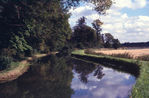 Filename=SC003103.jpg
Filesize=469KiB
Dimensions=800x526
Date added=%841 %06, %2011 SC003103.jpg