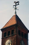 Filename=SC003127.jpg
Filesize=379KiB
Dimensions=524x800
Date added=%794 %29, %2011 SC003127.jpg