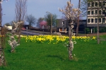 Filename=SC003138.jpg
Filesize=568KiB
Dimensions=800x533
Date added=%794 %29, %2011 SC003138.jpg