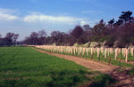 Filename=SC003142.jpg
Filesize=569KiB
Dimensions=800x523
Date added=%794 %29, %2011 SC003142.jpg