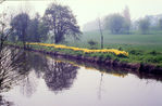 Filename=SC003151.jpg
Filesize=474KiB
Dimensions=800x527
Date added=%794 %29, %2011 SC003151.jpg