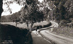 Filename=SC003255.jpg
Filesize=501KiB
Dimensions=800x484
Date added=%949 %15, %2012 SC003255.jpg