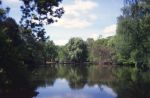 SC003328.jpg