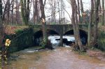 Filename=SC003332.jpg
Filesize=535KiB
Dimensions=800x533
Date added=%057 %26, %2013 SC003332.jpg