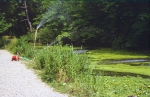Filename=SC003389.jpg
Filesize=488KiB
Dimensions=800x521
Date added=%051 %27, %2013 SC003389.jpg