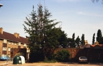SC003393.jpg