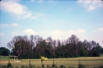 SC003396.jpg