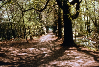 Gough Park footpath, May 1976
Keywords: footpaths;LC4
