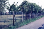 SC004006.jpg