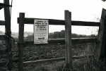 SC004052.jpg