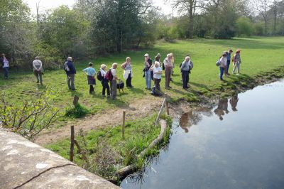 Beside the Mimram river
The river Mimram rises from a spring to the north of Whitwell, in North Hertfordshire, UK, and joins the River Lea near Horn's Mill in Hertford.
